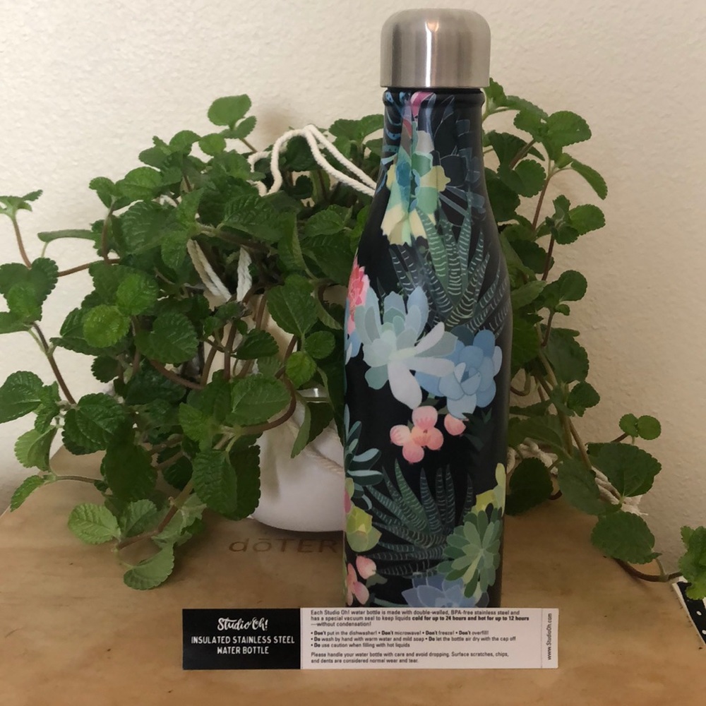 Studio Oh! Succulent water bottle